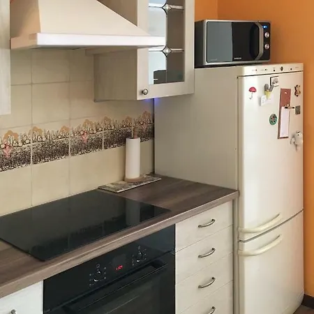 Apartament Polonia Apartment Elk