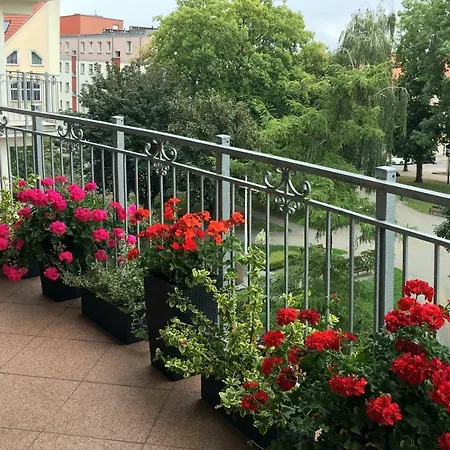 Polonia Appartamento